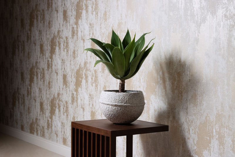 Japandi interieur met planten: zo creëer je de perfecte balans