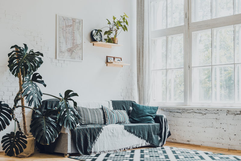 Modern interieur met planten: strak wonen zonder dat het koud wordt