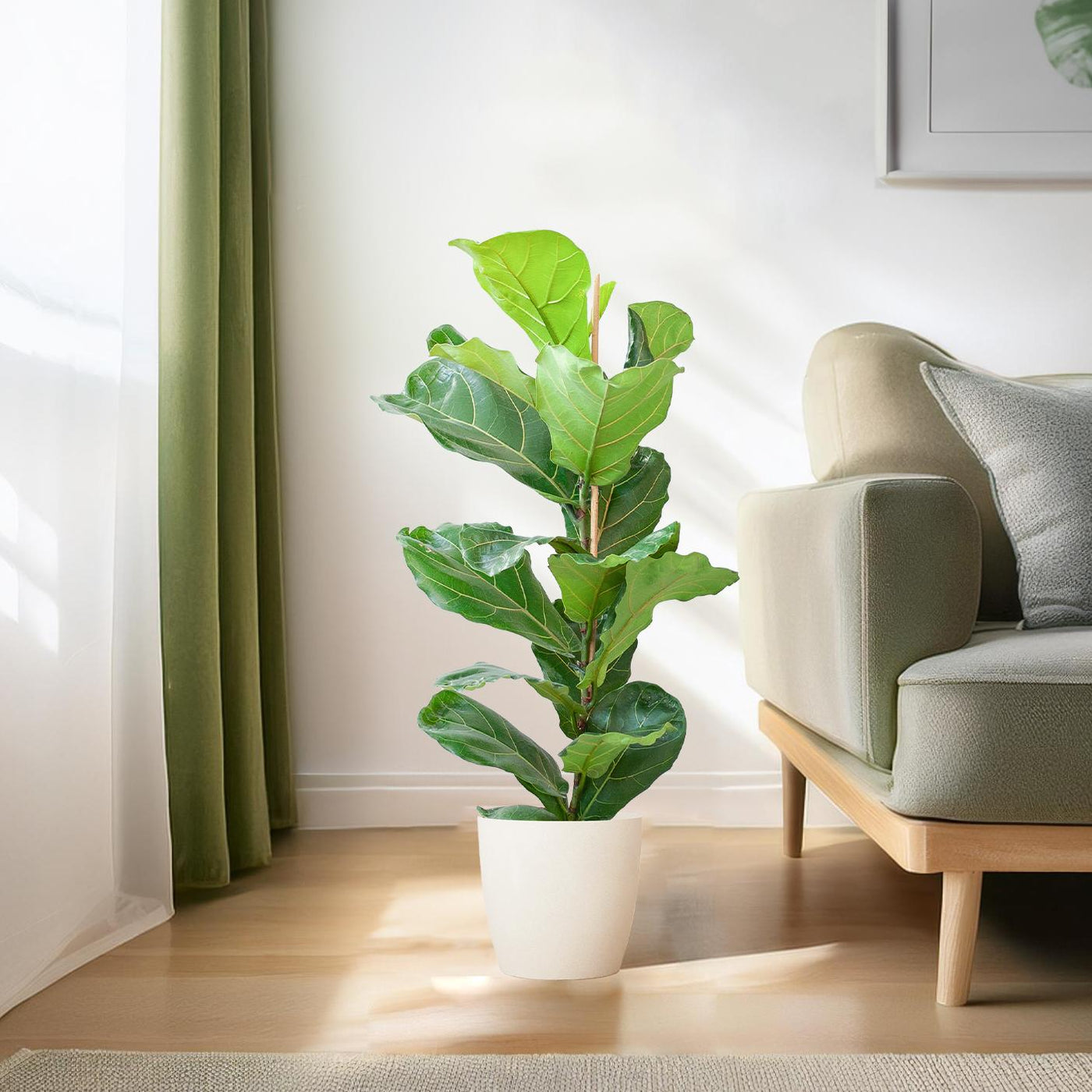 Welke pot past bij je plant? Waarom een te grote hem verzuipt