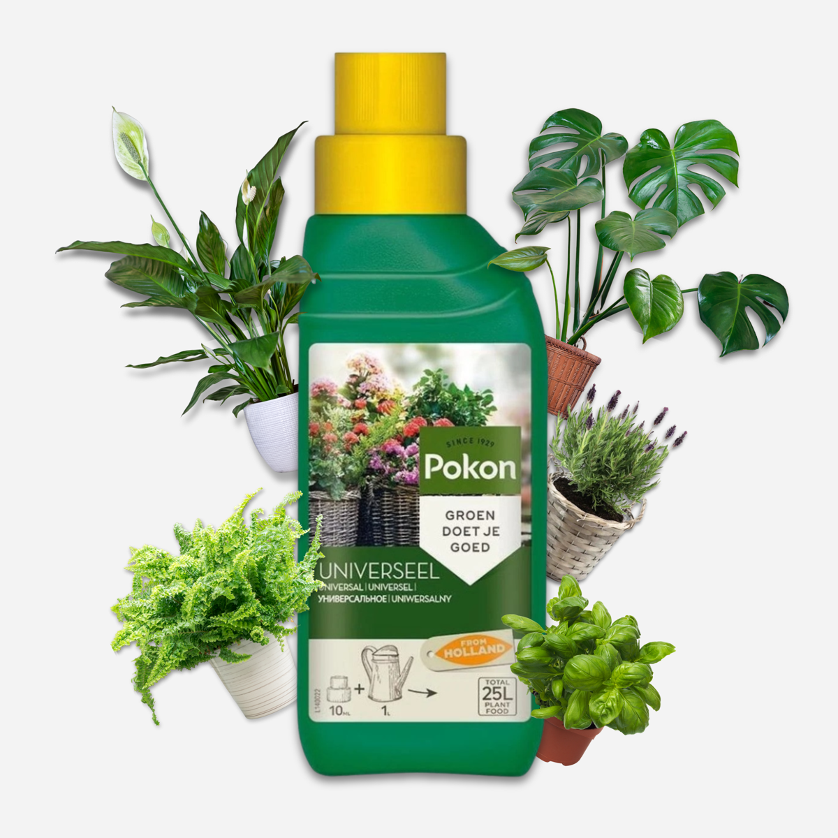 Pokon Vloeibare Plantenvoeding - 500Ml