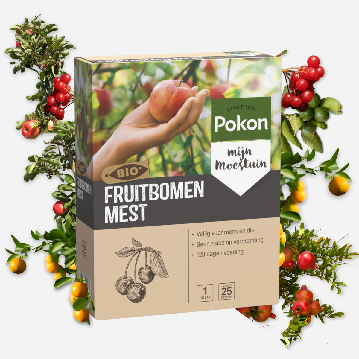 Pokon Bio Fruitbomenmest - 1Kg