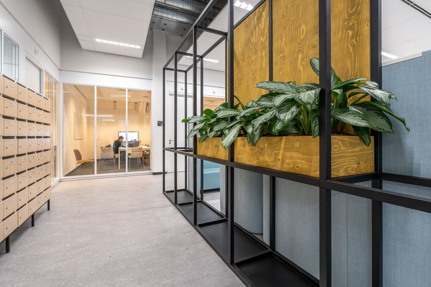 Kantoorgang met planten in houten plantenbakken