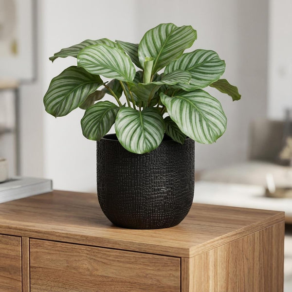 Pot Capi Nature Skin Bol - antraciet - Ø14cm