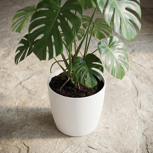Pot Elho Brussels rond 25cm - wit - Ø25cm
