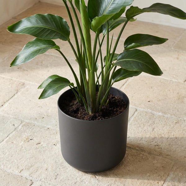 Pot Elho B.for soft - antraciet - Ø22cm