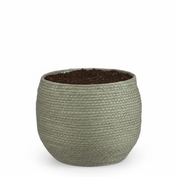 Mand Jorck - groen - Ø26cm