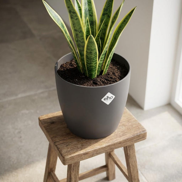 Pot Elho Brussels rond 25cm - antraciet - Ø25cm
