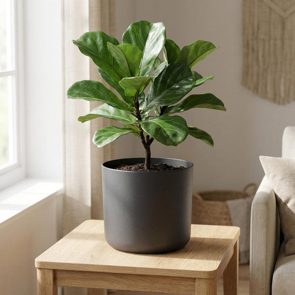 Pot Elho B.for soft - antraciet - Ø22cm