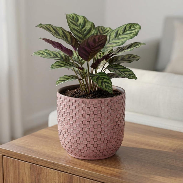 Pot Mini relief - roze - Ø7cm