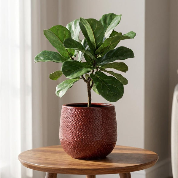 Pot Gabriel rond - bordeaux - Ø14cm