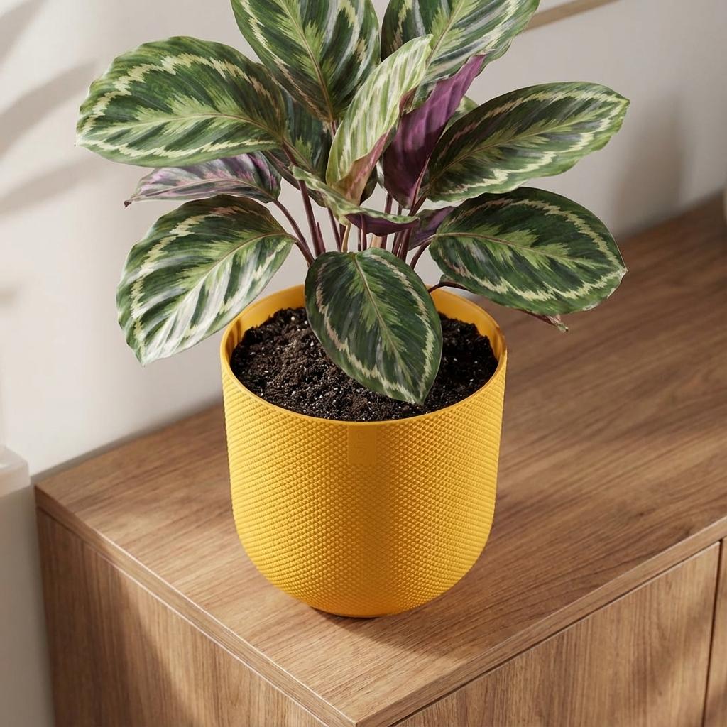 Pot Elho Jazz Round - amber yellow - Ø14cm