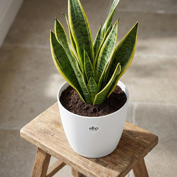 Pot Elho Brussels rond 25cm - wit - Ø25cm