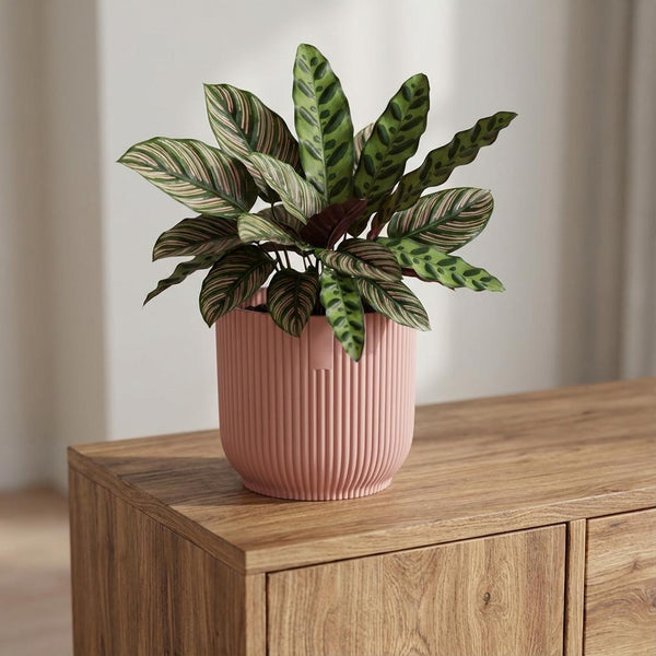 Pot Elho Vibes Fold 14cm - roze - Ø14cm
