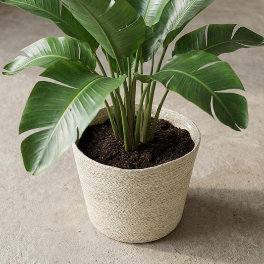 Mand Selin - Ø26cm - ↕23cm