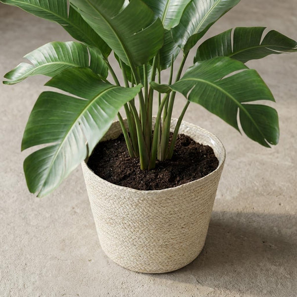 Mand Selin - Ø26cm - ↕23cm