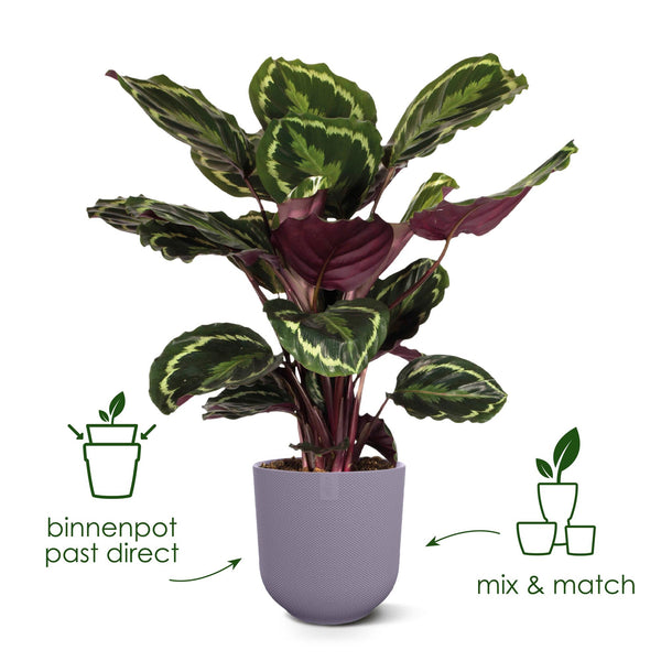 Pot Elho Jazz Round - tuscan red - Ø14cm - ↕13cm