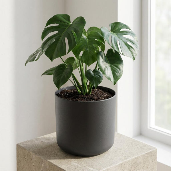 Pot Elho B.for soft - antraciet - Ø14cm