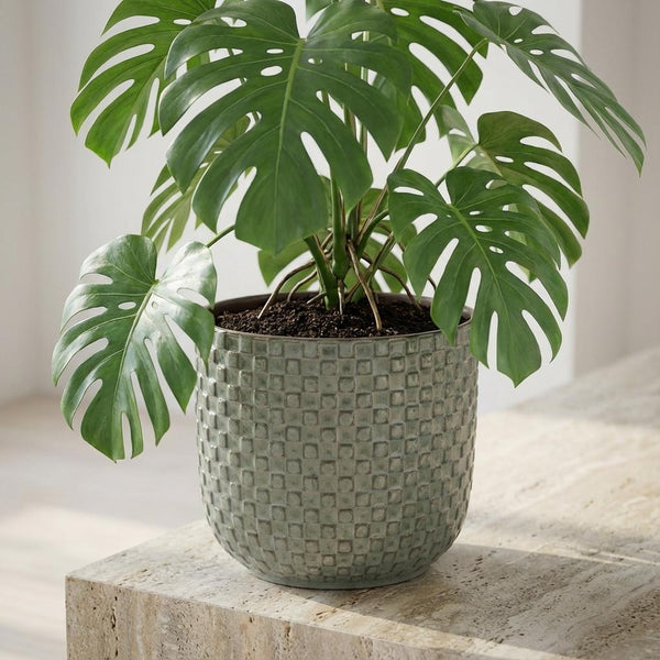 Pot Mini relief - groen - Ø7cm