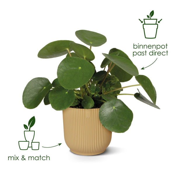 Pot Elho Vibes Fold Round - roze - Ø18cm - ↕17cm