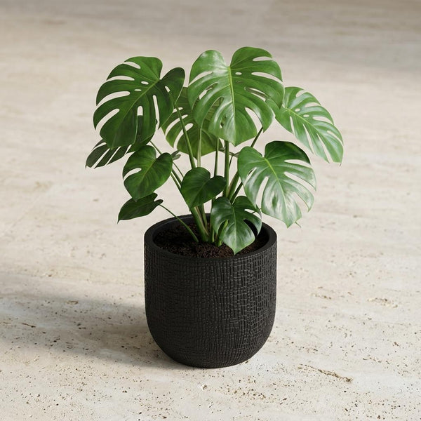 Pot Capi Nature Skin Bol - antraciet - Ø17cm