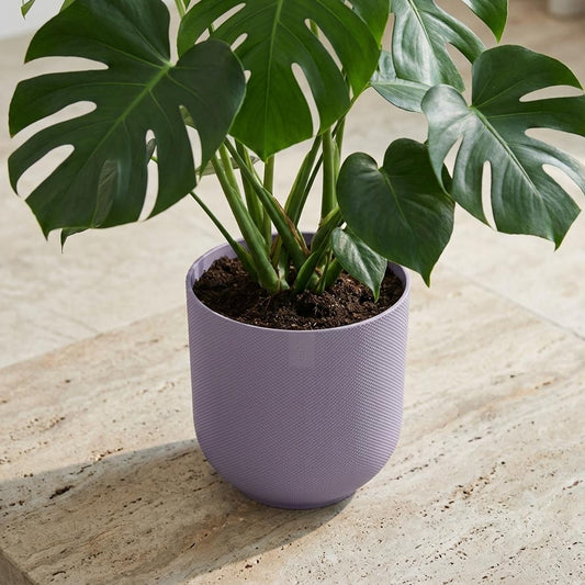 Pot Elho Jazz Round - lavender lilac - Ø23cm
