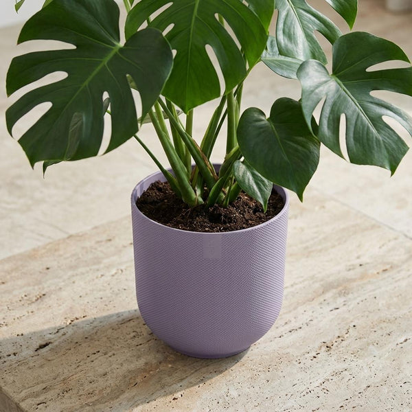 Pot Elho Jazz Round - lavender lilac - Ø23cm