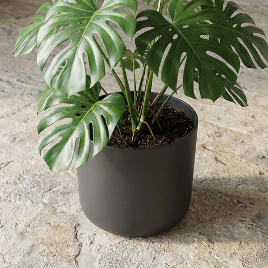 Pot Elho B.for soft - antraciet - Ø25cm