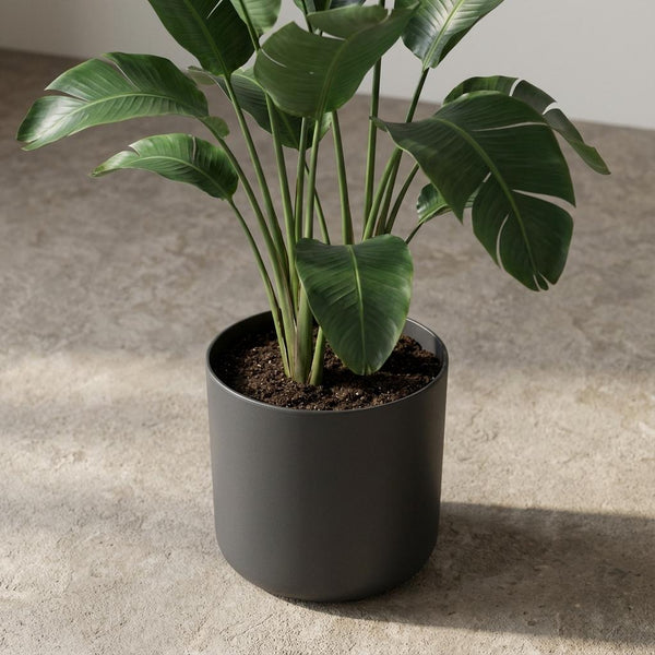 Pot Elho B.for soft - antraciet - Ø18cm