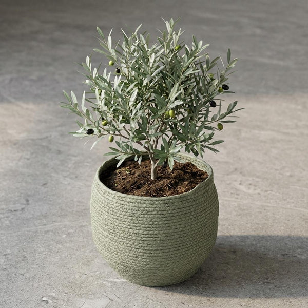 Mand Jorck - groen - Ø26cm
