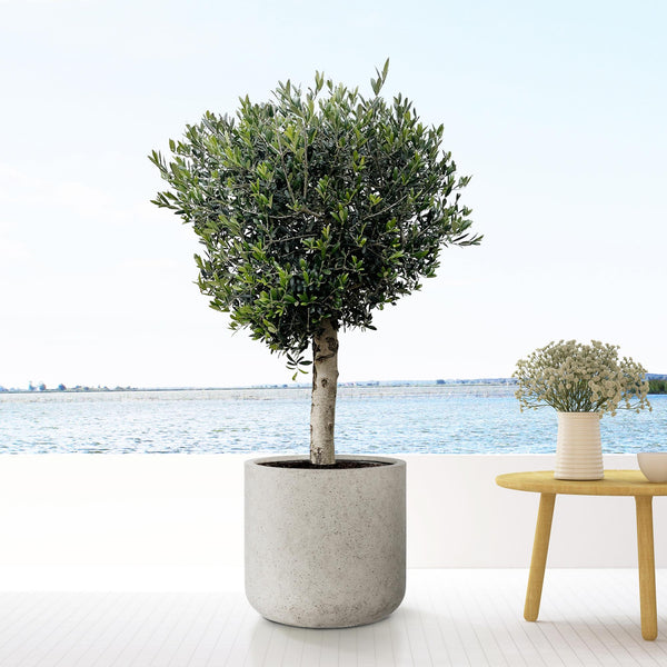 Pot Jumbo Charlie - beige washed - Ø53cm - ↕52cm