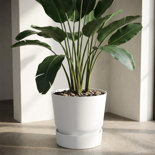 Pot Elho greenville round - white - Ø20cm