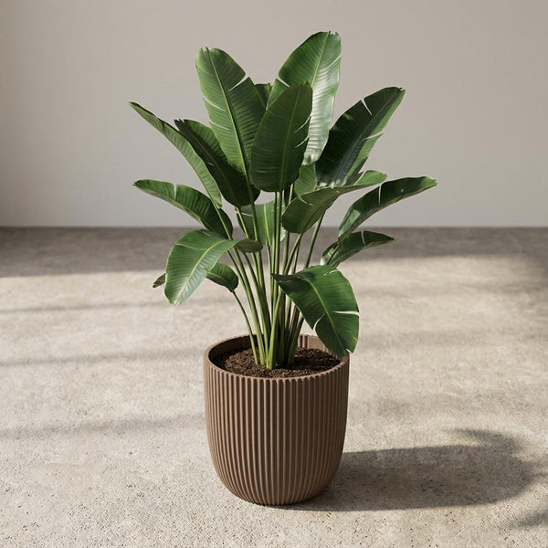 Pot Capi Nature Groove Made With Warm - taupe - Ø17cm