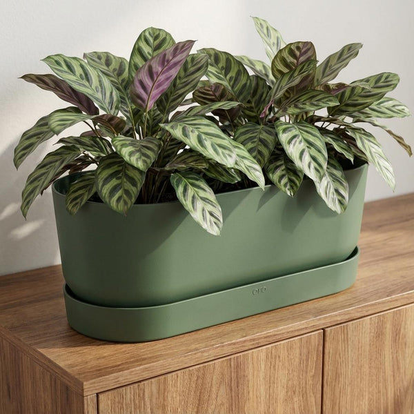 Pot Elho Greenville Easy Balcony - leaf green - Ø25cm