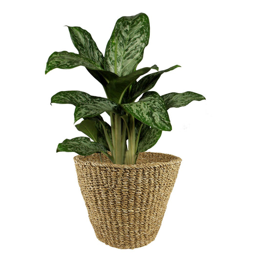 Mand Lichtbruin Jip - naturel - Ø37cm - ↕31cm