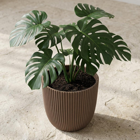 Pot Capi Nature Groove Made With Warm - taupe - Ø17cm