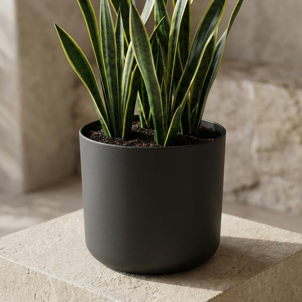Pot Elho B.for soft - antraciet - Ø18cm
