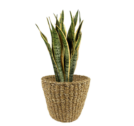 Mand Lichtbruin Jip - naturel - Ø30cm - ↕25cm