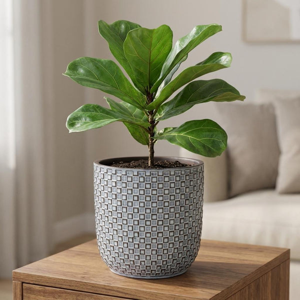 Pot Mini relief - blauw - Ø7cm