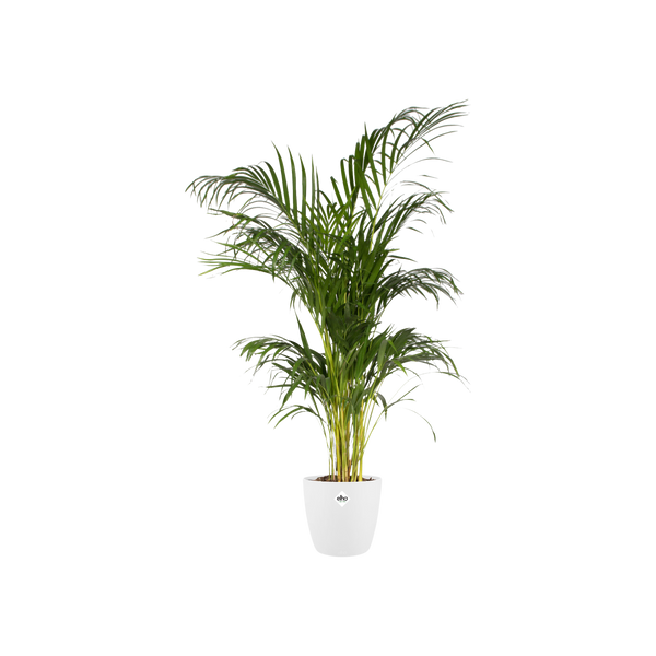 Pot Elho Brussels Round - wit - Ø30cm - ↕27cm