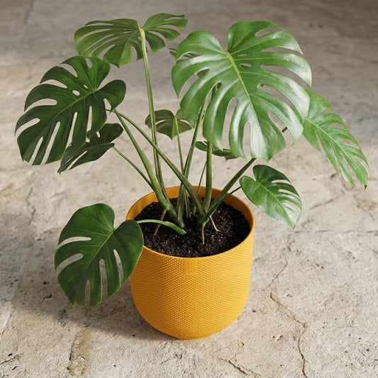 Pot Elho Jazz Round - amber yellow - Ø19cm