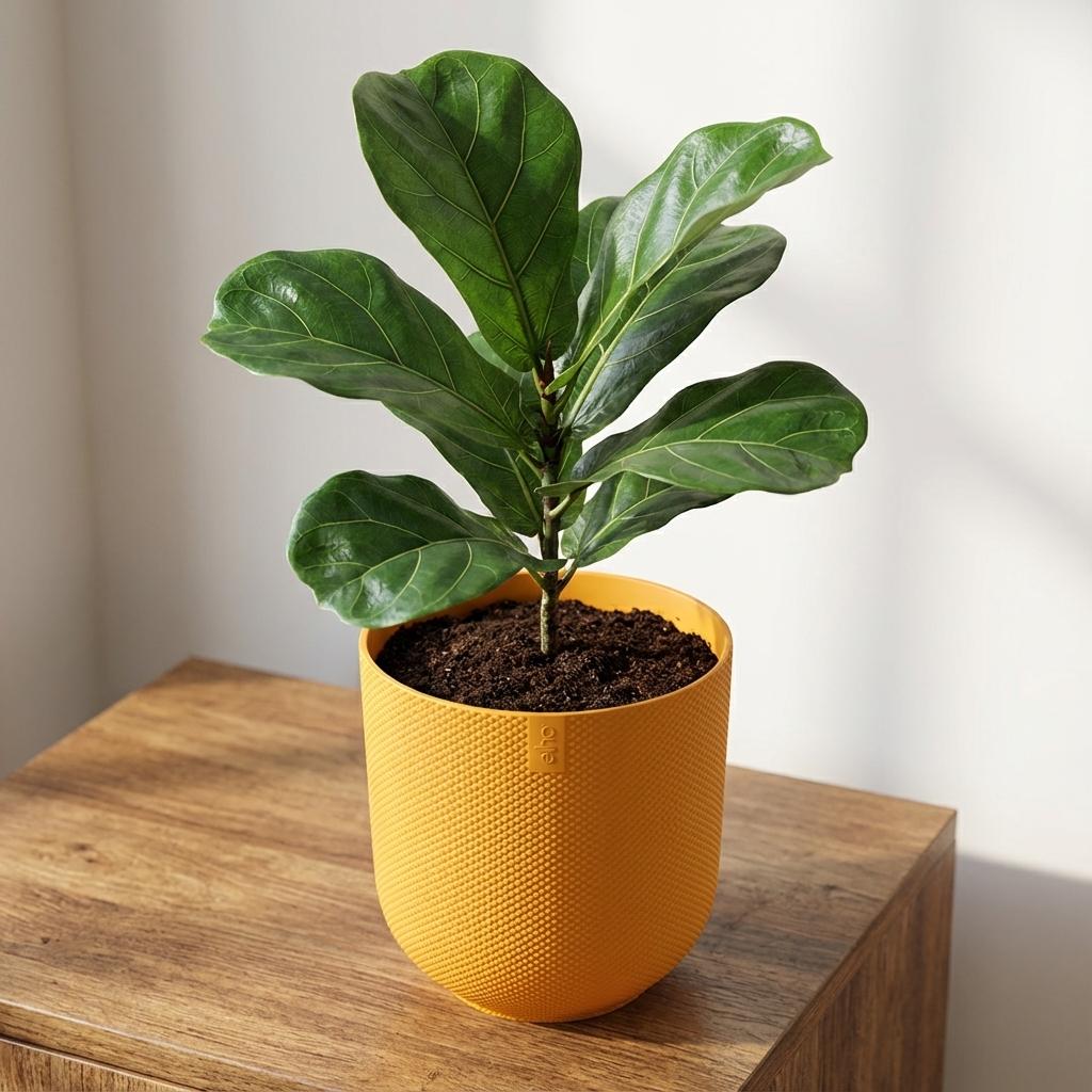 Pot Elho Jazz Round - amber yellow - Ø23cm