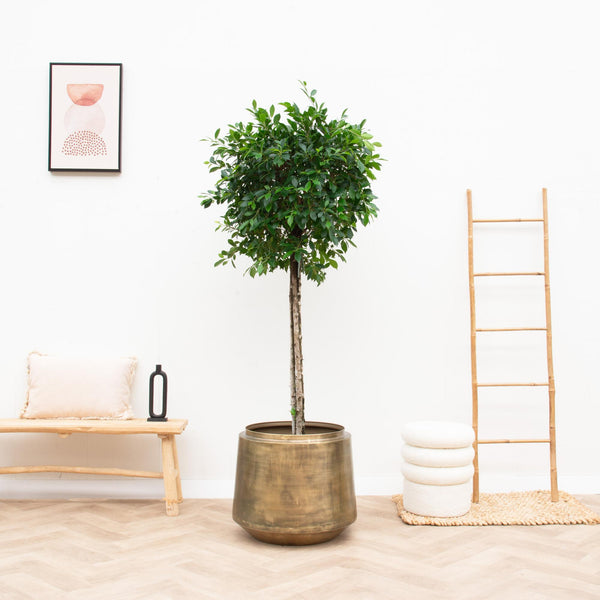 Pot Indigo Vintage - gold - Ø33cm - ↕31cm