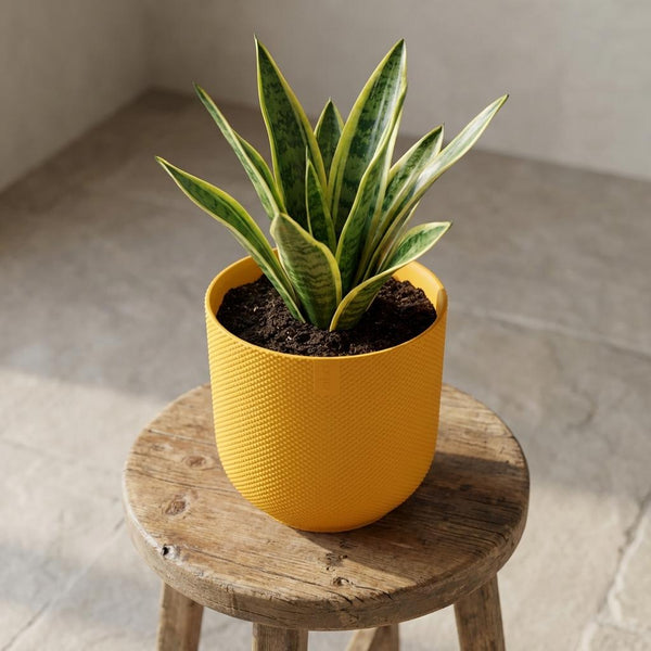Pot Elho Jazz Round - amber yellow - Ø19cm