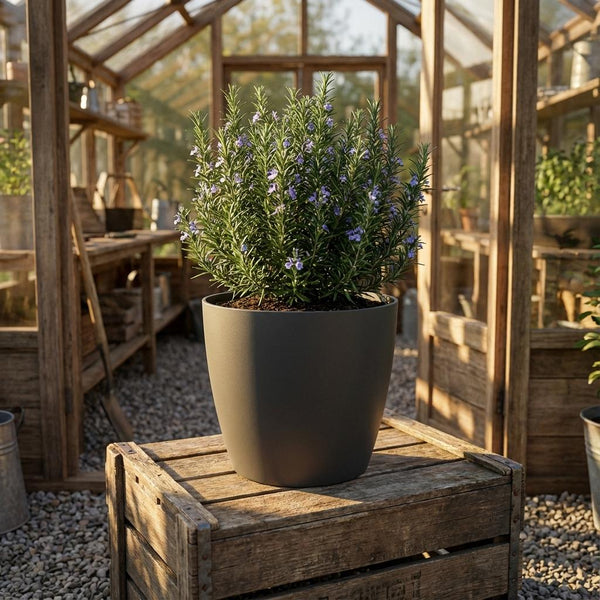 Pot Brussels - antraciet - Ø7cm - ↕6cm