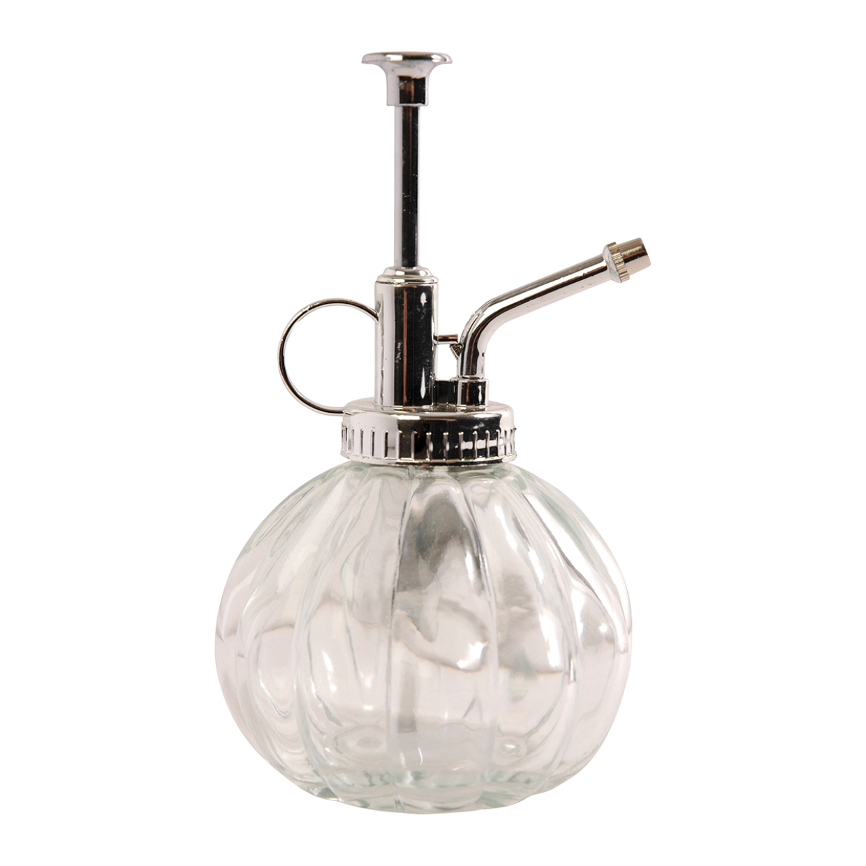 Plantensproeier helder/ zilver - Glas - L 8