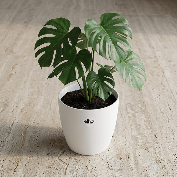 Pot Elho Brussels rond 18cm - wit - Ø18cm