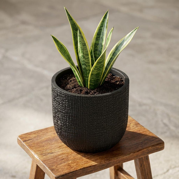 Pot Capi Nature Skin Bol - antraciet - Ø17cm