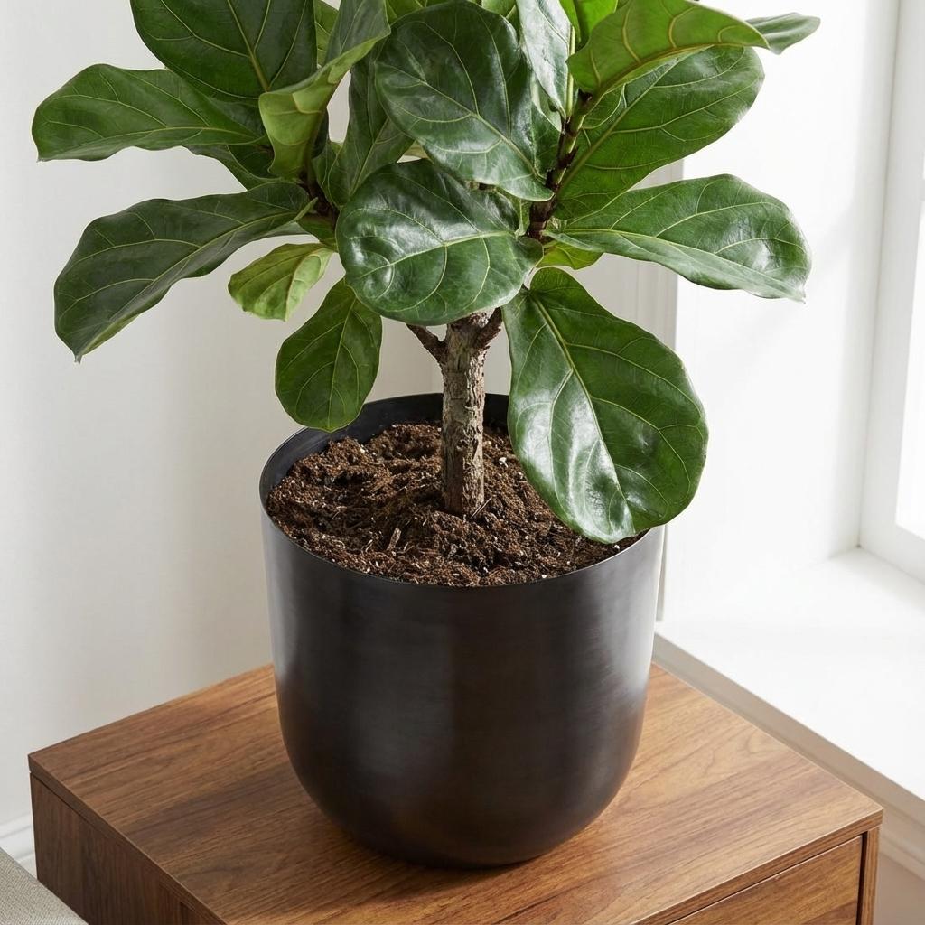 Pot Mayk - lead - Ø20cm