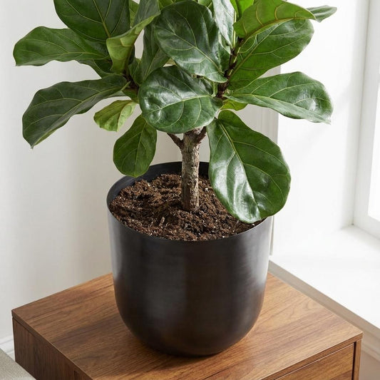 Pot Mayk - lead - Ø20cm