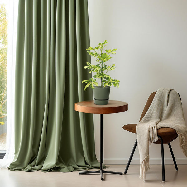 Vingerboom - Schefflera Charlotte - Ø13cm - ↕45cm